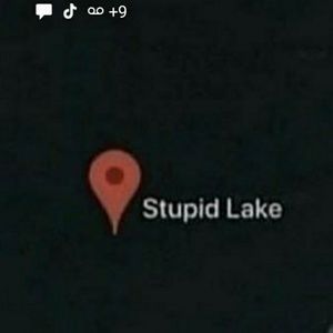 Meet your Posher, Lynn